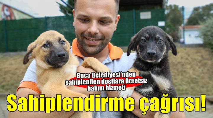 Buca Belediyesi'nden sahiplendirme çağrısı