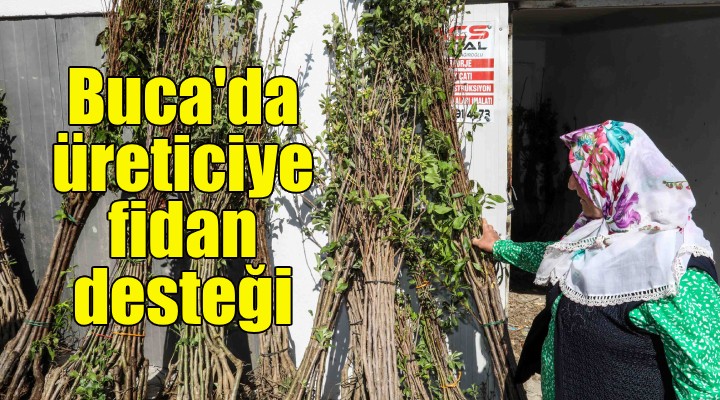 Buca Belediyesi'nden üreticiye fidan desteği!