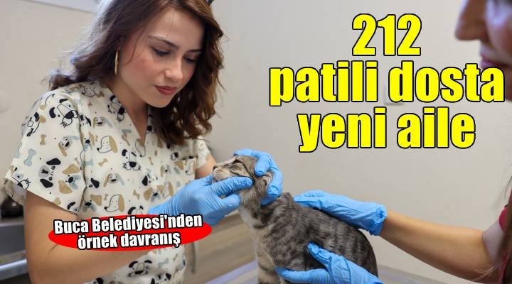 Buca'da 212 patili dost daha yeni ailesine kavuştu