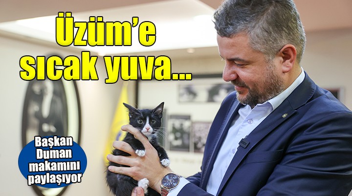 Buca'da Üzüm'e sıcak yuva...