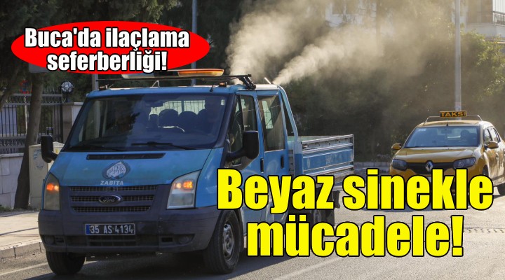 Buca'da beyaz sinekle mücadele!