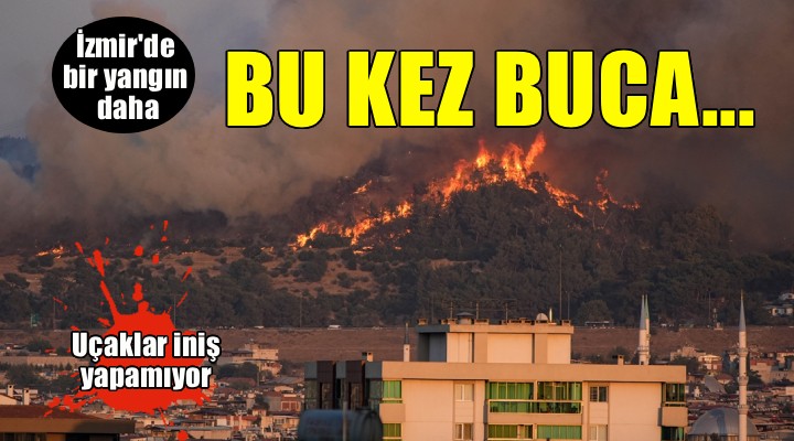 Buca'da orman yangını...