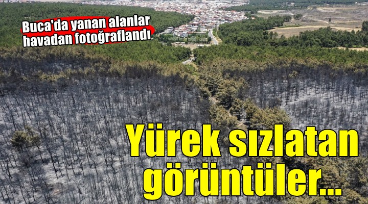 Buca'da yanan ormanlık alan havadan görüntülendi
