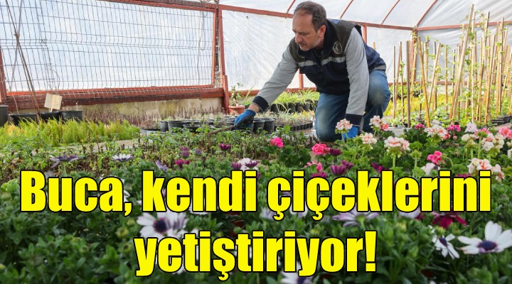 Buca kendi çiçeklerini yetiştiriyor!