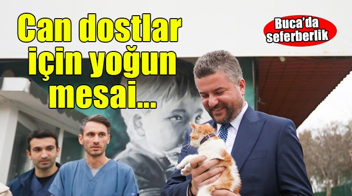 Buca'da can dostlar için yoğun mesai