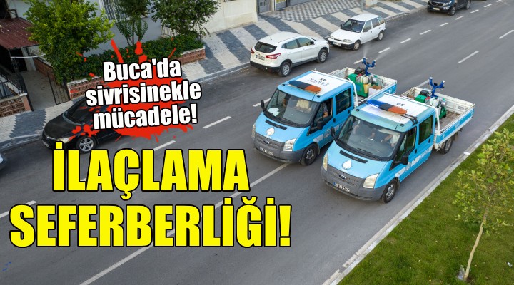 Buca'da sivrisineklere karşı ilaçlama seferberliği!