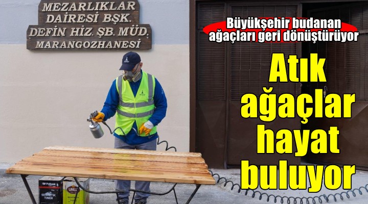 Budanan ağaçlar geri dönüştürülüyor