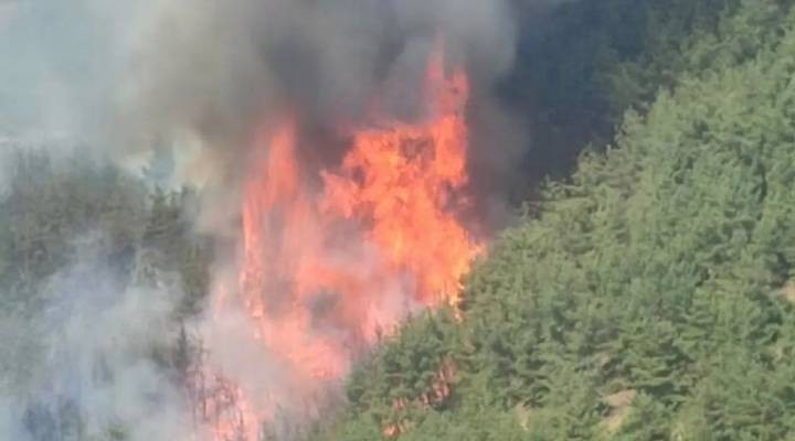Bursa Büyükşehir Belediyesi'nden orman yangınlarına ilişkin açıklama
