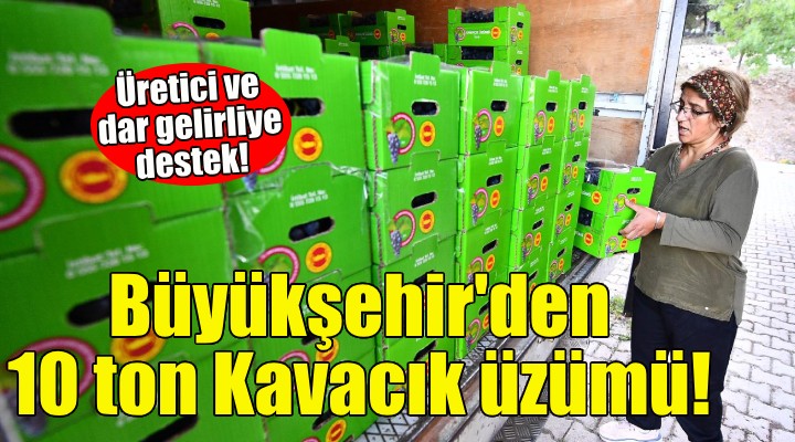 Büyükşehir'den 10 ton Kavacık üzümü!