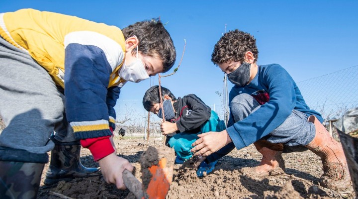 Büyükşehir'den 363 bin meyve fidanı