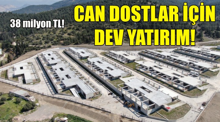 Büyükşehir'den can dostlar için dev yatırım!