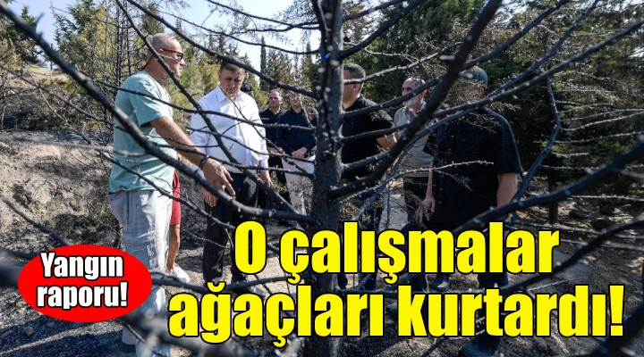 Büyükşehir'den yangın raporu: O çalışmalar ağaçları kurtardı!