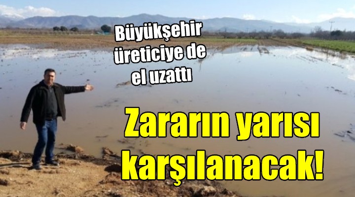 Büyükşehir, üreticinin zararının yarısını da ödeyecek!