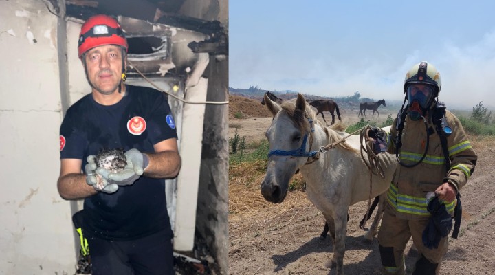 Büyükşehir yangın bölgelerindeki tüm canlıların yardımına koştu