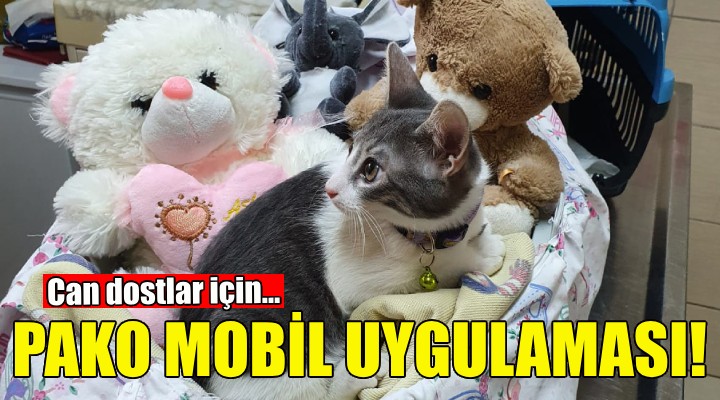 Büyükşehir'den can dostlar için Pako mobil uygulaması!