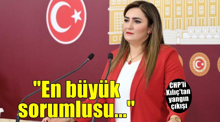 CHP İzmir Milletvekili Kılıç: Ciğerimiz yandı, kanımız dondu