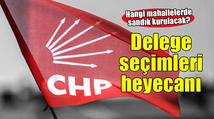 CHP İzmir'de delege seçimleri sürüyor