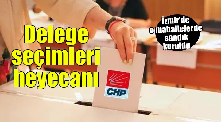 CHP'de delege seçimleri heyecanı... O mahallelerde sandıkları kuruldu!