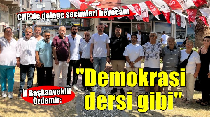 CHP'de delege seçimleri heyecanı... Özdemir: ''Demokrasi dersi niteliğinde''
