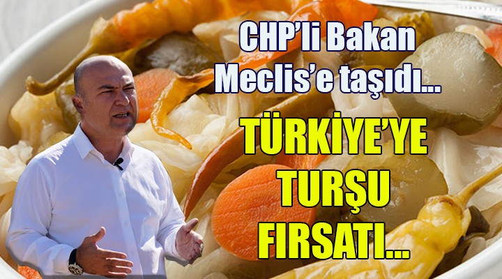 CHP'li Bakan Meclis'e taşıdı... Türkiye'ye turşu fırsatı...