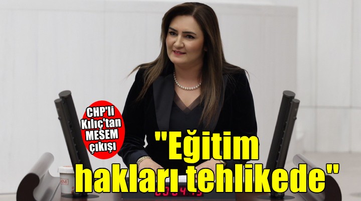 CHP'li Kılıç: Mesleki eğitim önemlidir ama çocuk emeği sermayeye peşkeş çekilemez!