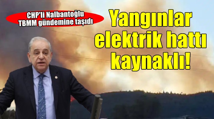 CHP'li Nalbantoğlu: Orman yangınlarının yüzde 25'i elektrik hattı kaynaklı!