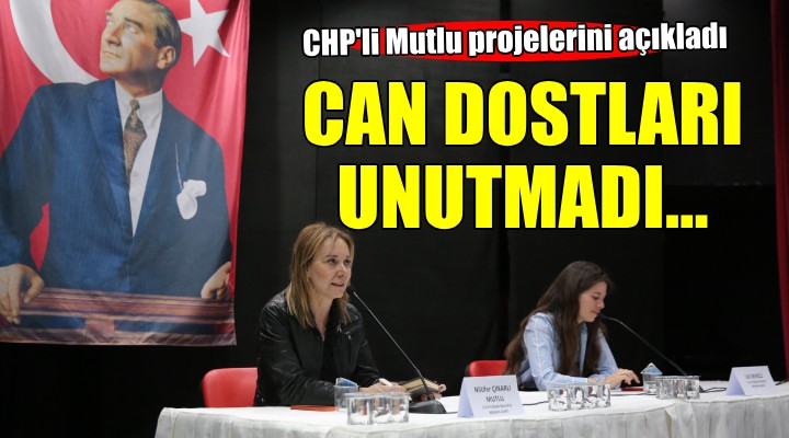 CHP'li Nilüfer Mutlu Çınarlı: ''Tüm canlıların hakkını savunacağız''