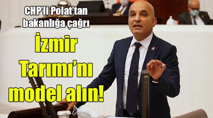 CHP'li Polat'tan bakanlığa çağrı: İzmir Tarımı'nı model alın!