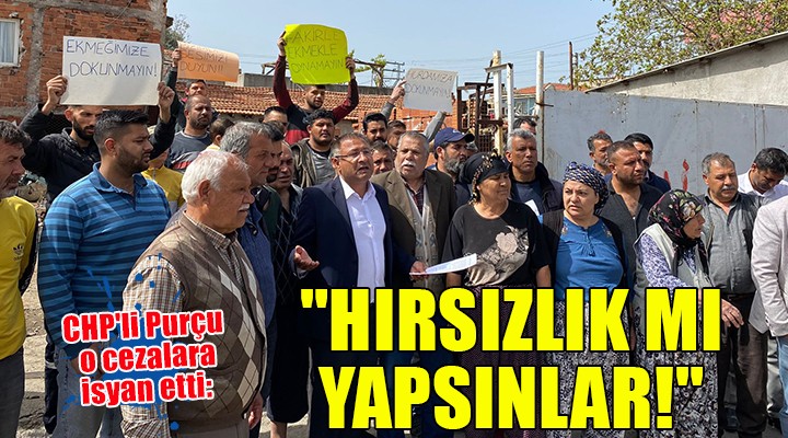 CHP'li Purçu o cezalara isyan etti: 