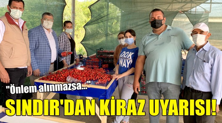 CHP'li Sındır'dan kiraz uyarısı!