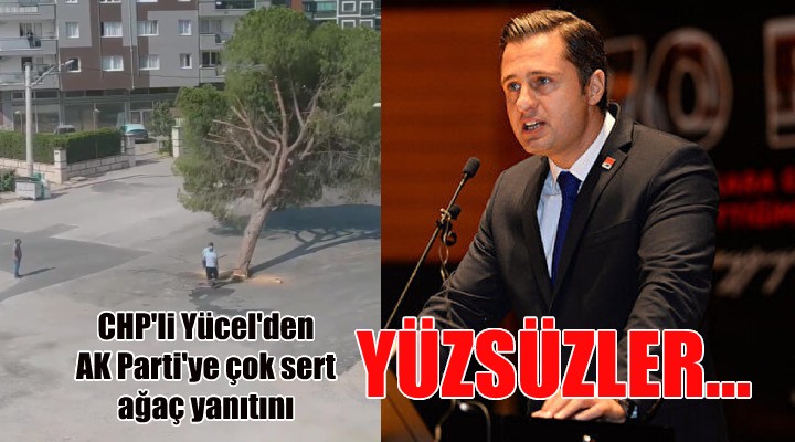 CHP'li Yücel'den ağaç eleştirisi getiren AK Parti'ye: YÜZSÜZLER!