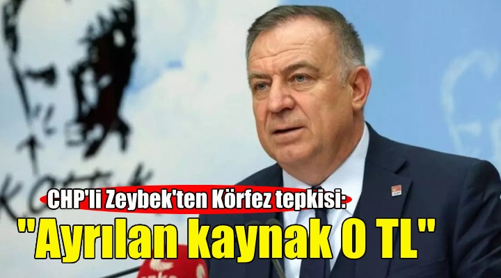 CHP'li Zeybek'ten Körfez tepkisi: Ayrılan kaynak 0 TL!