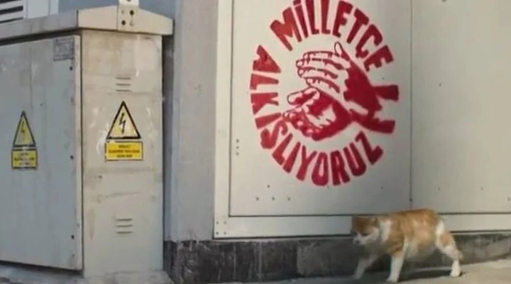 CHP'den trafolara kedi önlemleri!