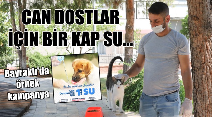 Bayraklı'da örnek kampanya... 'Can dostlar için bir kap su'