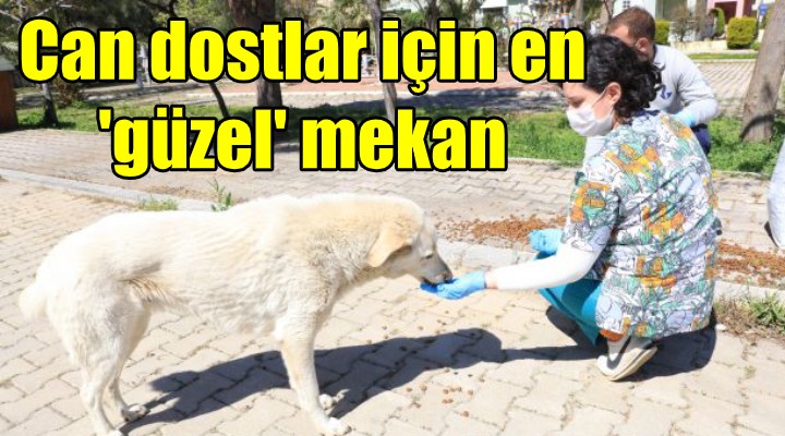 Can dostlar için en 'güzel' mekan