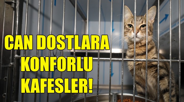 Can dostlara konforlu kafesler!