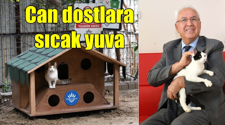 Can dostlara sıcak yuva