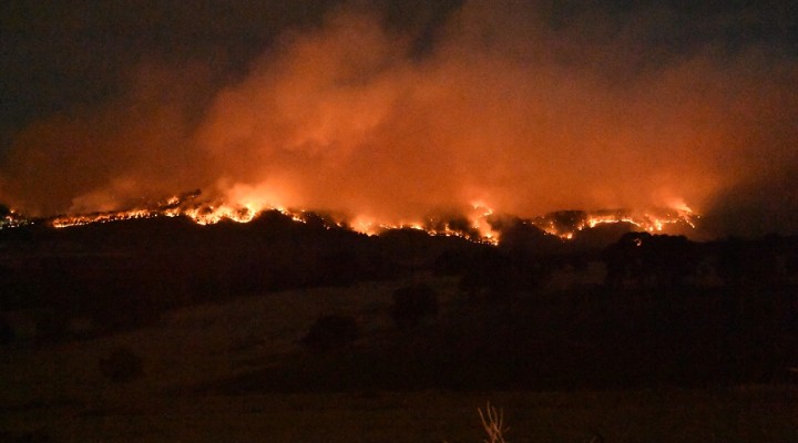 Çanakkale'deki yangında 575 hektar alan kül oldu!