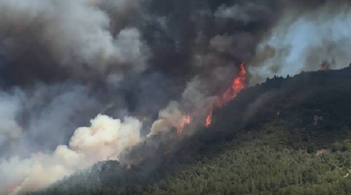 Çanakkale'nin ardından Manisa'da orman yangını!