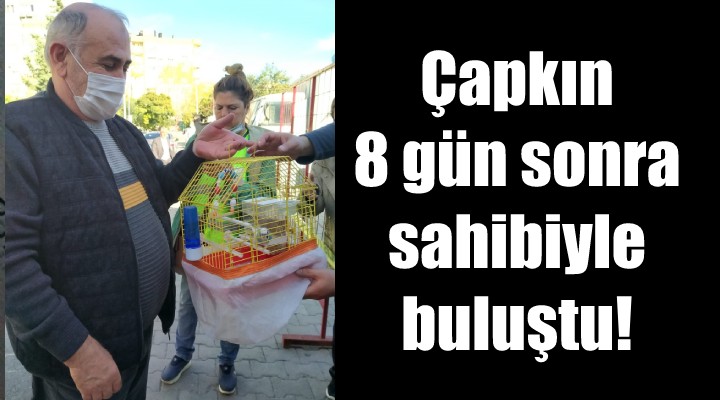 Çapkın 8 gün sonra sahibiyle buluştu!