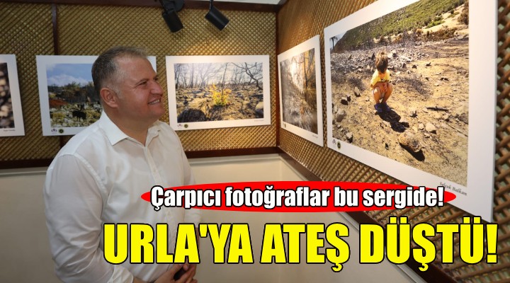 Çarpıcı sergi: Urla'ya Ateş Düştü!