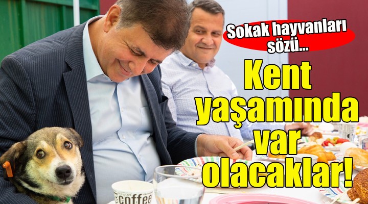 Cemil Tugay: Sokak hayvanları kent yaşamında var olacak!