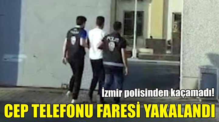 Cep telefonu faresi yakalandı!