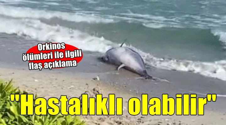 Çeşme Çevre Derneği'nden orkinos ölümleri açıklaması... 