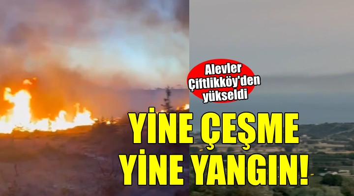 Çeşme Çiftlikköy'de yangın...