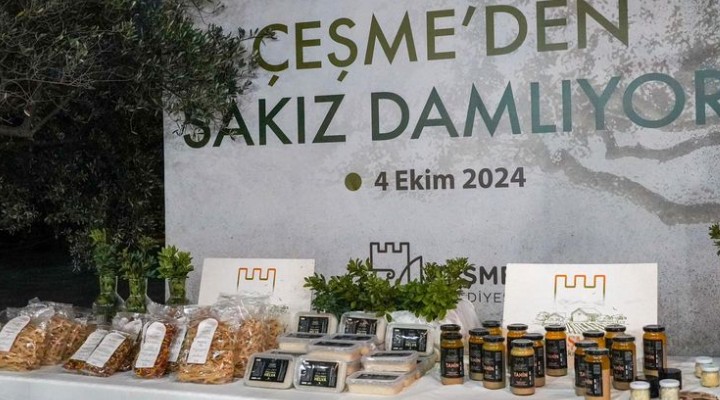 Çeşme'de hedef 100 bin sakız ağacı!