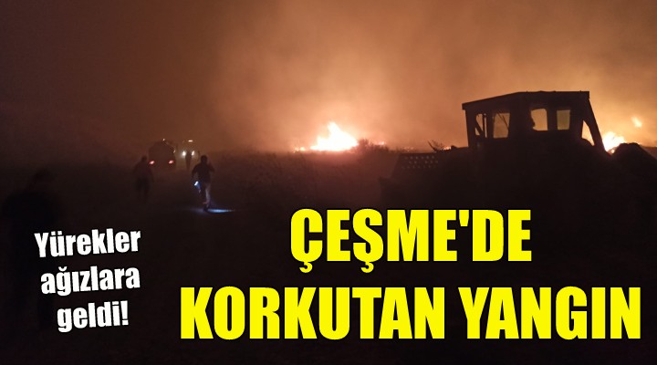 Çeşme'de korkutan yangın!