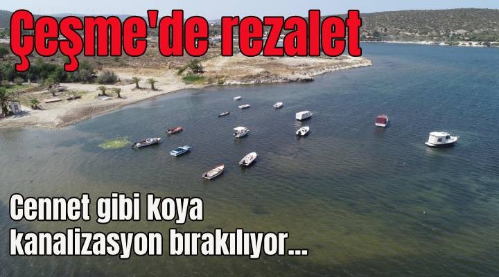 Çeşme'de rezalet! Denize kanalizasyon veriliyor