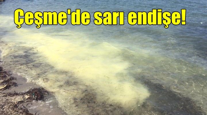 Çeşme'de sarı endişe!