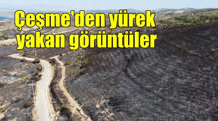 Çeşme'den yürek yakan görüntüler!